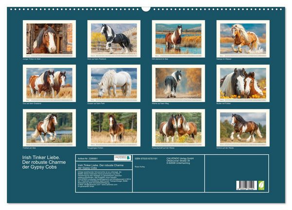 Produktbild: Irish Tinker Liebe. Der robuste Charme der Gypsy Cobs (Wandkalender 2027 DIN A2 quer), CALVENDO Monatskalender