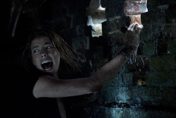 Produktbild: Crawl (4K Ultra HD) (+ Blu-ray)