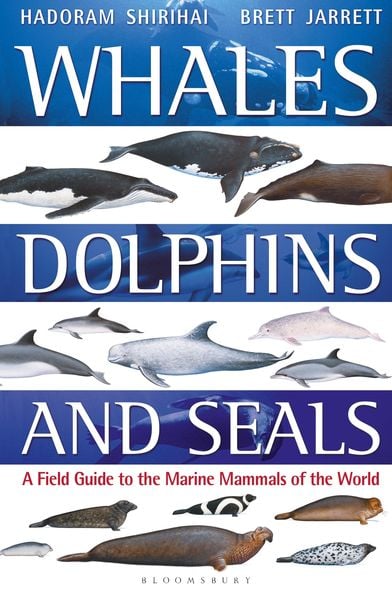 Produktbild: Whales, Dolphins and Seals