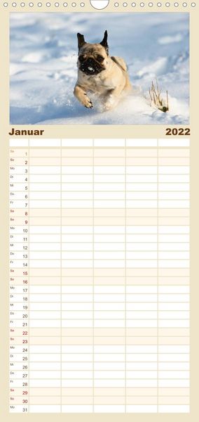 Produktbild: Mops - Familienplaner hoch (Wandkalender 2022 , 21 cm x 45 cm, hoch)