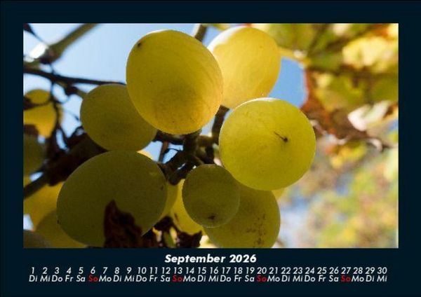 Produktbild: Obstkalender 2026 Fotokalender DIN A5