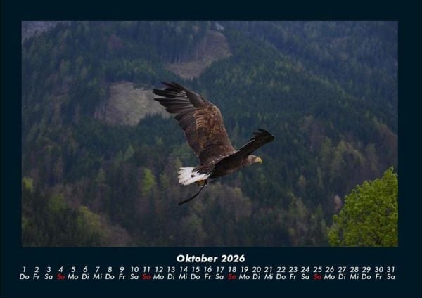 Produktbild: Adler 2026 Fotokalender DIN A4