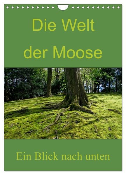 Produktbild: Die Welt der Moose. Ein Blick nach unten (Wandkalender 2026 DIN A4 hoch), CALVENDO Monatskalender