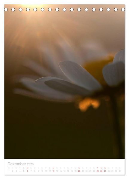 Produktbild: Wiesenblumen (Tischkalender 2026 DIN A5 hoch), CALVENDO Monatskalender