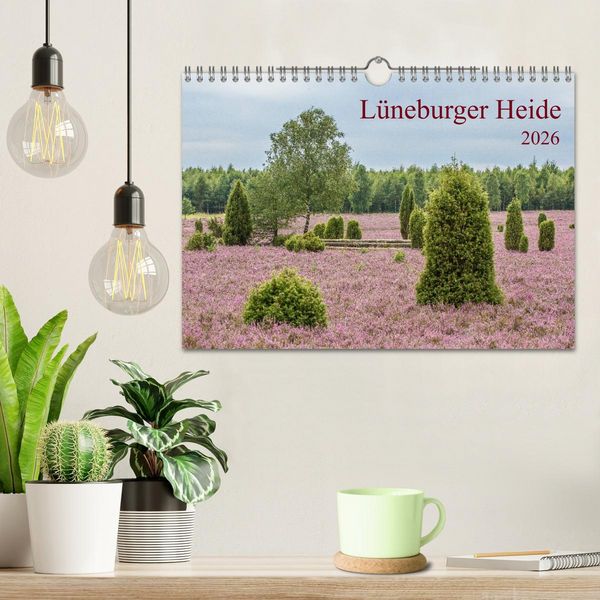 Produktbild: L&uuml;neburger Heide (Wandkalender 2026 DIN A4 quer), CALVENDO Monatskalender