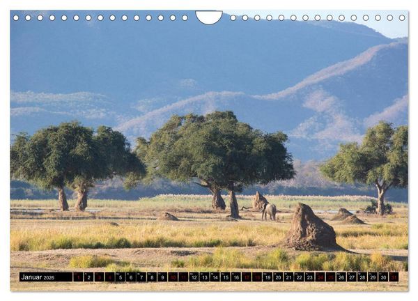 Produktbild: Faszination Simbabwe (Wandkalender 2026 DIN A4 quer), CALVENDO Monatskalender