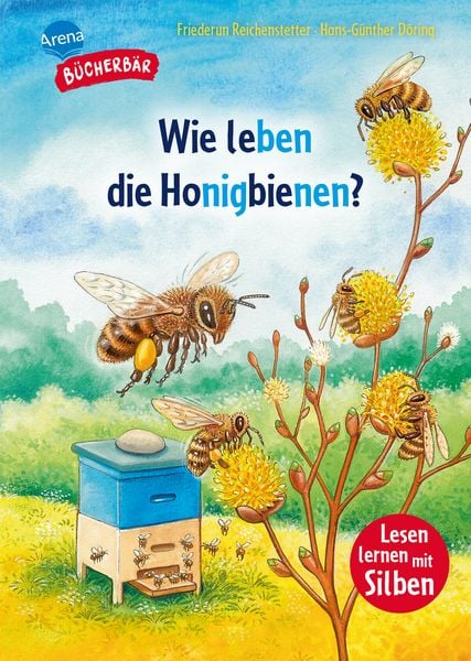 Produktbild: Wie leben die Honigbienen?
