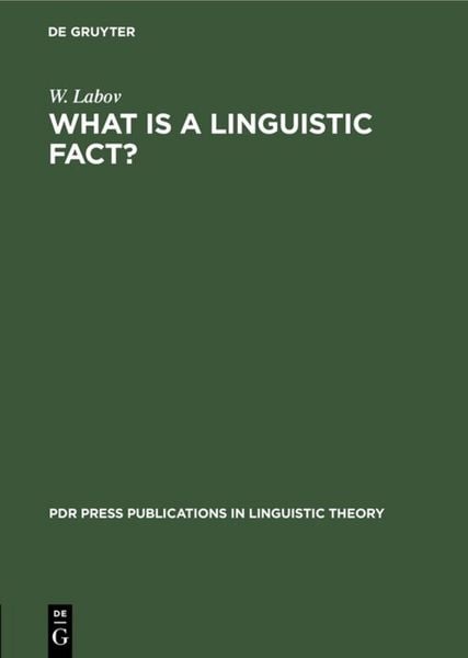 Produktbild: What is a linguistic fact?