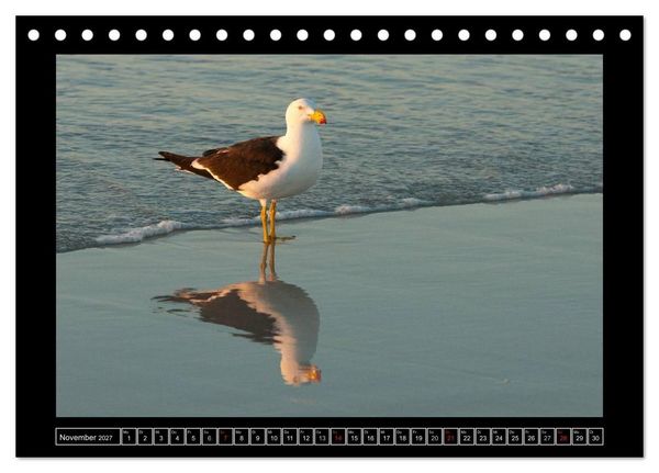 Produktbild: V&ouml;gel von "Down Under" Australien (Tischkalender 2027 DIN A5 quer), CALVENDO Monatskalender