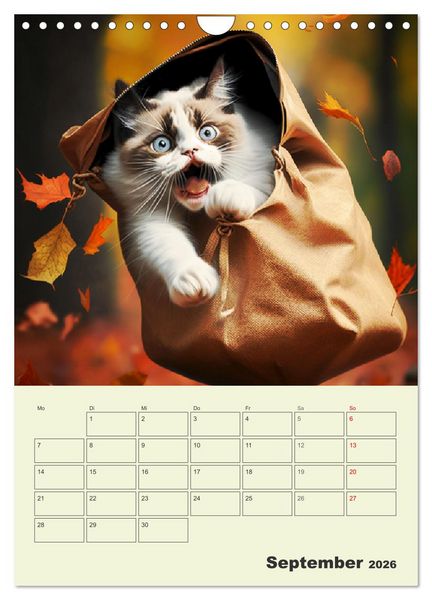 Produktbild: Jetzt ist die Katze aus dem Sack! Katzenspa&szlig; vom Feinsten! (Wandkalender 2026 DIN A4 hoch), CALVENDO Monatskalender