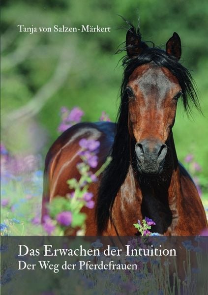 Das Erwachen der Intuition, Taschenbuch von Tanja Salzen-Märkert, Epubli, 9783750239395
