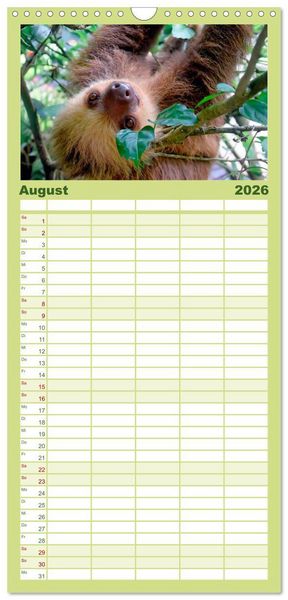 Produktbild: Familienplaner 2026 - Abh&auml;ngen - Faultier mit 5 Spalten (Wandkalender, 21 x 45 cm) CALVENDO