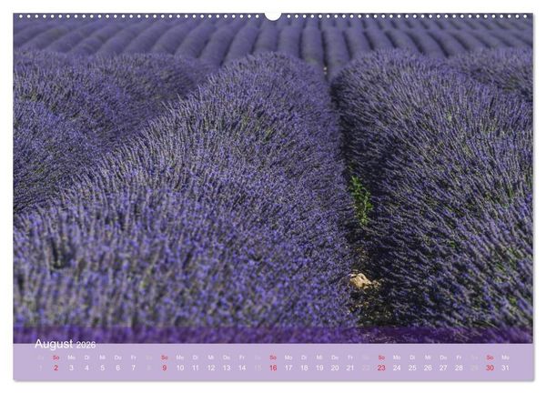Produktbild: Die Farbe des Lavendels (hochwertiger Premium Wandkalender 2026 DIN A2 quer), Kunstdruck in Hochglanz