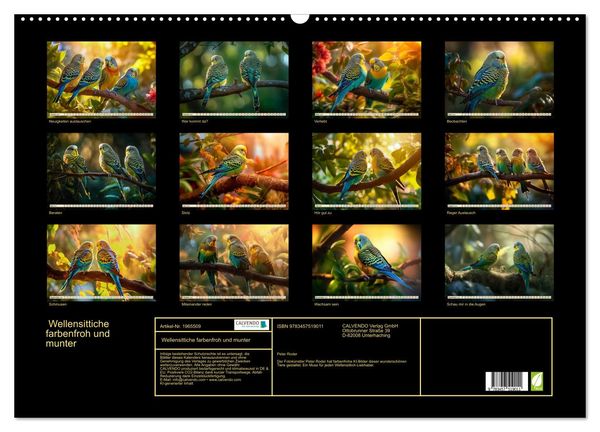 Produktbild: Wellensittiche farbenfroh und munter (Wandkalender 2026 DIN A2 quer), CALVENDO Monatskalender