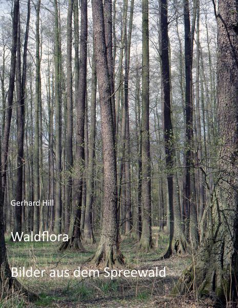 Produktbild: Waldflora