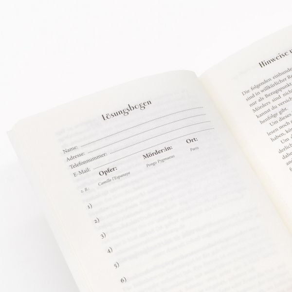 Produktbild: Salomons Urteil