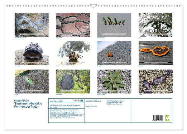 Produktbild: organische Strukturen Abstrakte Formen der Natur (Wandkalender 2026 DIN A2 quer), CALVENDO Monatskalender