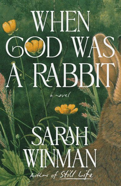 Produktbild: When God Was a Rabbit