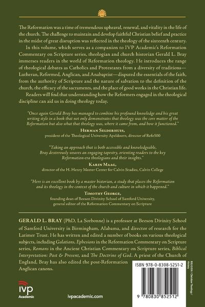 Produktbild: Doing Theology with the Reformers