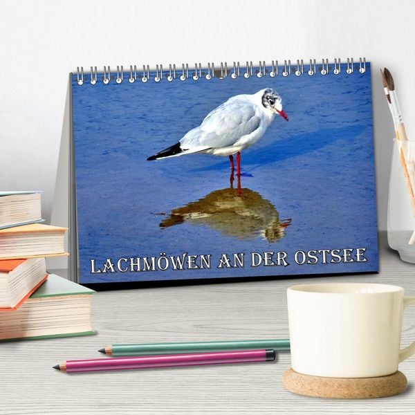 Produktbild: Lachm&ouml;wen an der Ostsee (Tischkalender 2026 DIN A5 quer), CALVENDO Monatskalender