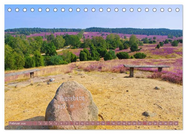 Produktbild: L&uuml;neburger Heide - Wanderung rund um Wilsede und Totengrund (Tischkalender 2026 DIN A5 quer), CALVENDO Monatskalender