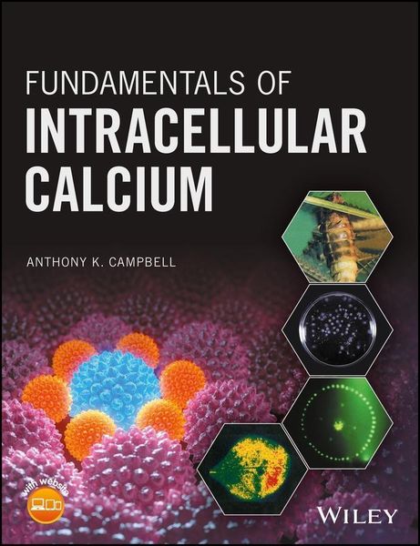 Produktbild: Fundamentals of Intracellular Calcium