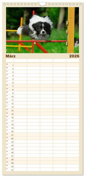 Produktbild: Familienplaner 2026 - Border Collie 2026 mit 5 Spalten (Wandkalender, 21 x 45 cm) CALVENDO