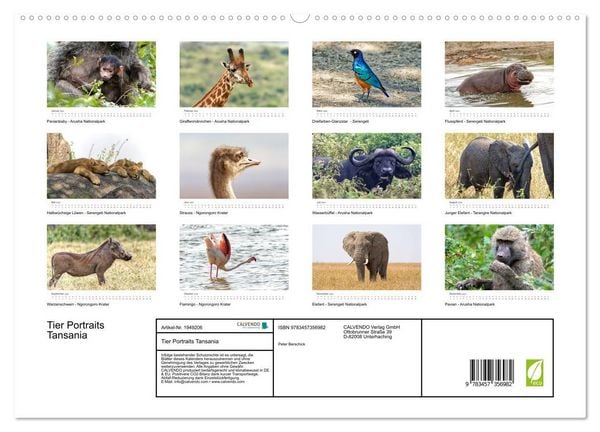 Produktbild: Tier Portraits Tansania (hochwertiger Premium Wandkalender 2026 DIN A2 quer), Kunstdruck in Hochglanz