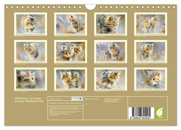 Produktbild: Wildkatzen. Europas scheue Waldbewohner (Wandkalender 2027 DIN A4 quer), CALVENDO Monatskalender