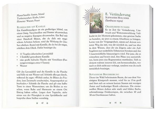 Produktbild: Das magische Orakel der Heilpflanzen