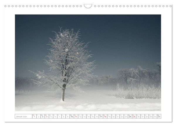 Produktbild: Melancholie-Bodensee 2026 (Wandkalender 2026 DIN A3 quer), CALVENDO Monatskalender