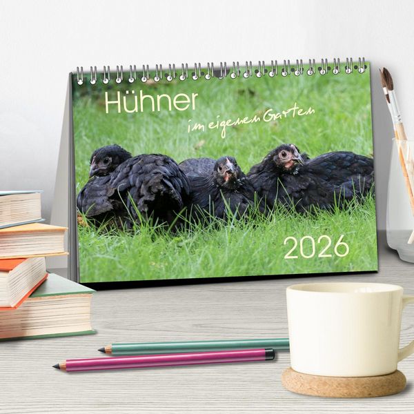 Produktbild: H&uuml;hner im eigenen Garten (Tischkalender 2026 DIN A5 quer), CALVENDO Monatskalender