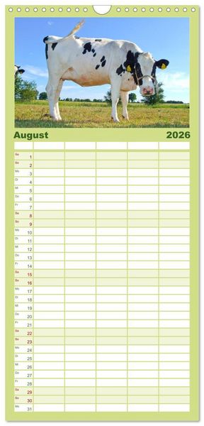 Produktbild: Familienplaner 2026 - Die Kuh macht Muuuh! mit 5 Spalten (Wandkalender, 21 x 45 cm) CALVENDO