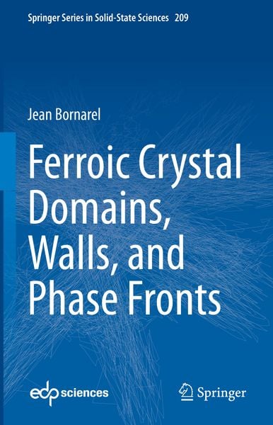 Produktbild: Ferroic Crystal Domains, Walls, and Phase Fronts