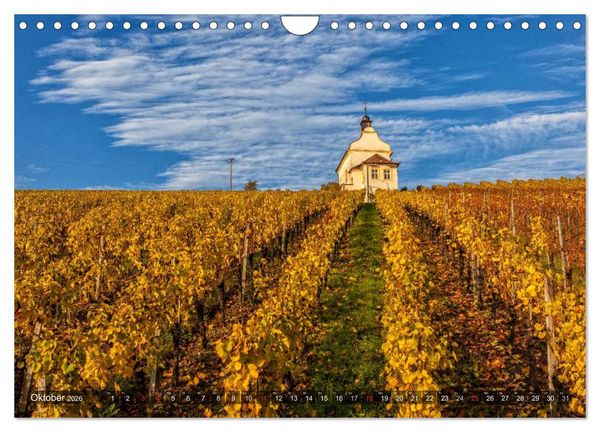 Produktbild: Weinlagen in Franken (Wandkalender 2026 DIN A4 quer), CALVENDO Monatskalender