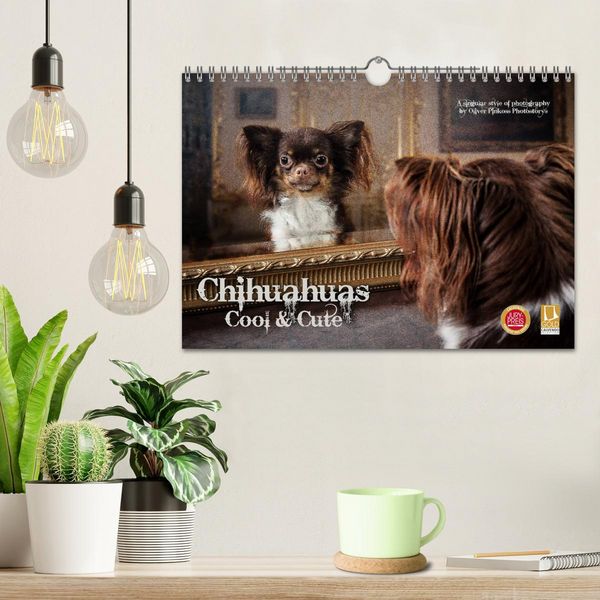 Produktbild: Chihuahuas - Cool and Cute (Wandkalender 2026 DIN A4 quer), CALVENDO Monatskalender