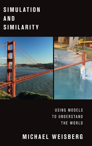 Produktbild: Simulation and Similarity