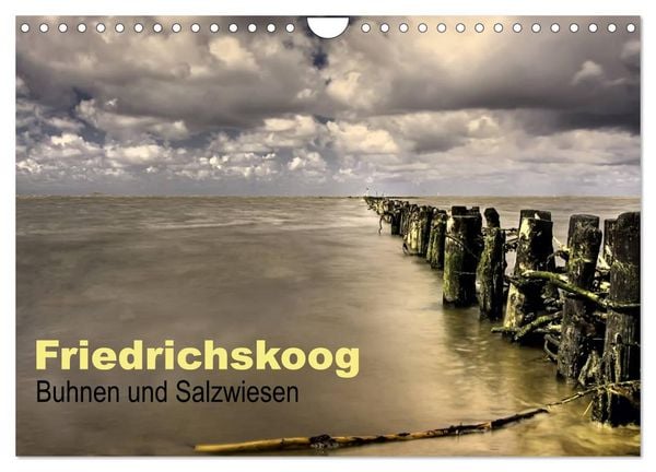 Produktbild: Friedrichskoog Buhnen und Salzwiesen (Wandkalender 2026 DIN A4 quer), CALVENDO Monatskalender