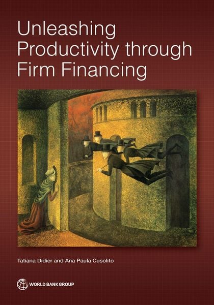 Produktbild: Unleashing Productivity Through Firm Financing