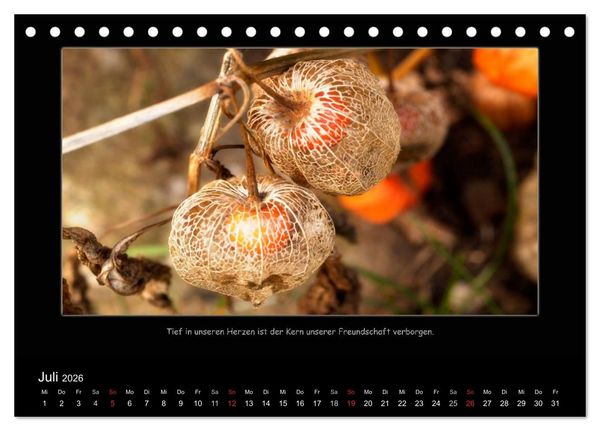 Produktbild: Freundschaft (Tischkalender 2026 DIN A5 quer), CALVENDO Monatskalender