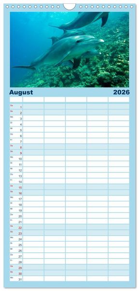 Produktbild: Familienplaner 2026 - Fische und Meerestiere mit 5 Spalten (Wandkalender, 21 x 45 cm) CALVENDO