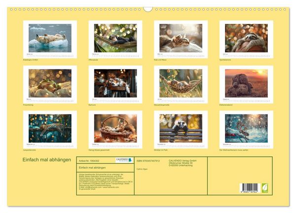 Produktbild: Einfach mal abh&auml;ngen (Wandkalender 2026 DIN A2 quer), CALVENDO Monatskalender