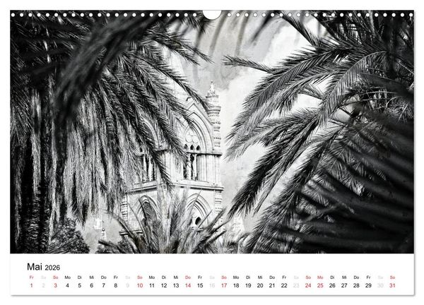 Produktbild: Silberstein portr&auml;tiert Palermo (Wandkalender 2026 DIN A3 quer), CALVENDO Monatskalender