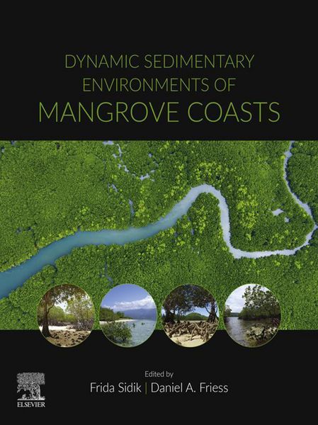 Produktbild: Dynamic Sedimentary Environments of Mangrove Coasts