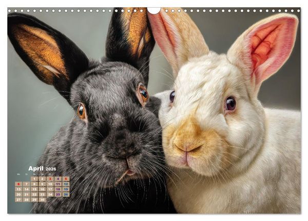 Produktbild: Kaninchenportraits &ndash; Szenen voller Charme (Wandkalender 2026 DIN A3 quer), CALVENDO Monatskalender