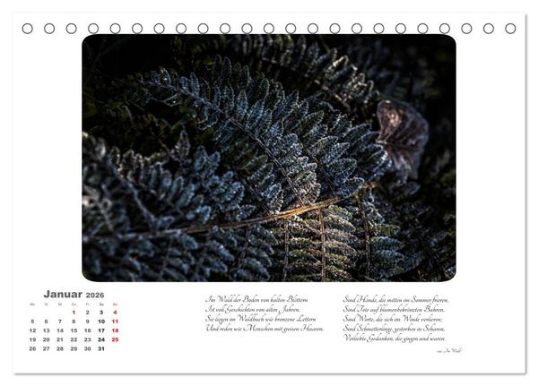 Produktbild: Max Dauthendey - Mit dem Wald durchs Jahr (Tischkalender 2026 DIN A5 quer), CALVENDO Monatskalender