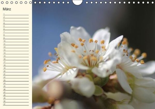 Produktbild: Geburtstagskalender "Nette Kleinigkeiten" (Wandkalender immerw&auml;hrend DIN A4 quer)