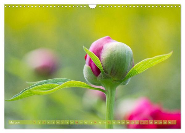 Produktbild: Die Poesie der Pflanzenwelt - Im Wandel der Jahreszeiten (Wandkalender 2026 DIN A3 quer), CALVENDO Monatskalender