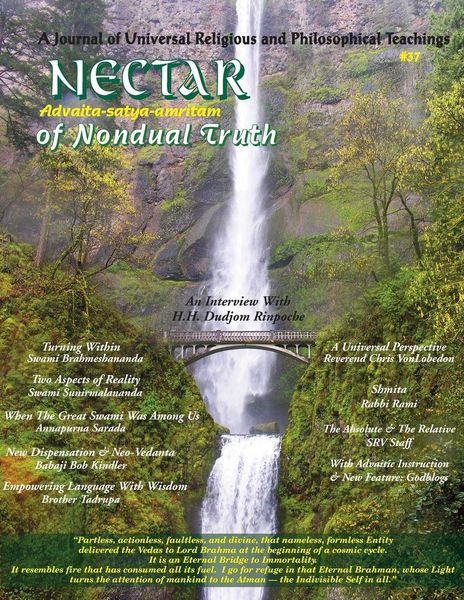 Produktbild: Nectar of Non-Dual Truth #37