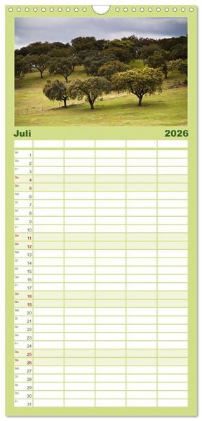 Produktbild: Familienplaner 2026 - Wald mit 5 Spalten (Wandkalender, 21 x 45 cm) CALVENDO
